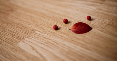  Rowan on wooden background Frame made of autumn dried leaves.