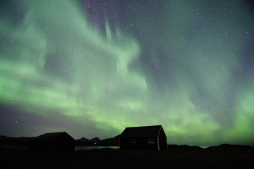 North Lights in Love