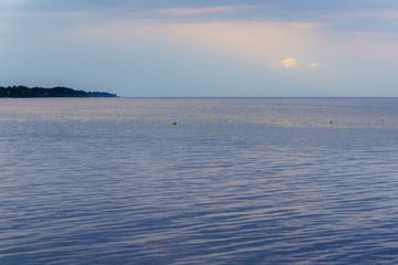summer evening before sunset, expanse of sea with some gulls in calm water,