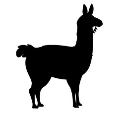 Black silhouette of llama cartoon animal design flat vector illustration isolated on white background side view © Alfmaler
