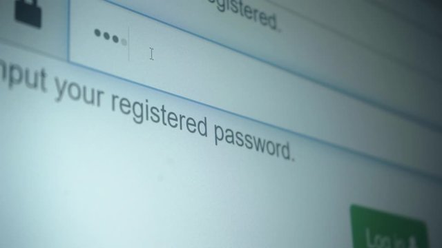 Enter the password for the website in the Internet. Encryption screen With flashing cursor.