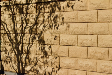 Natural stone block wall texture with tree shadows from low angle sunlight