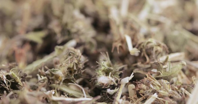 Motherwort grass in bulk