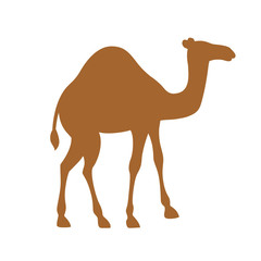 Brown silhouette one hump camel cartoon animal design flat vector illustration isolated on white background