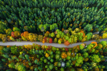 Latvian autumn nature. Forest and road. View from the top. - obrazy, fototapety, plakaty