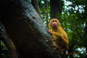 Searching