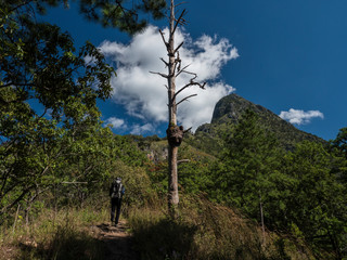 A hiking path in a Chiang Dao wildlife sanctuary named Den Ya Khad