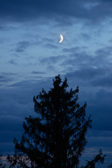 View of night sky with new moon. Latvian nature.