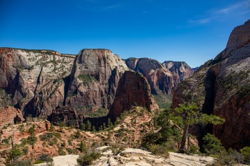 Amazing landscape in Zion National Park, Utah, United States
