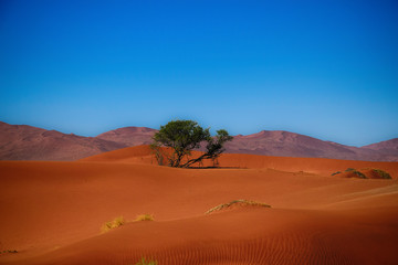 Fototapeta na wymiar Landscape at Sossusvlei in Namibia