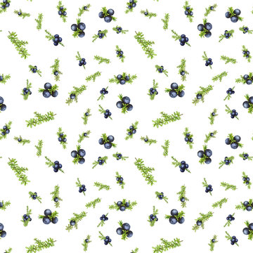 seamless pattern with black forest northern berries of the crowberry, painted in watercolor. Ideal for wedding invitations, cards, logos