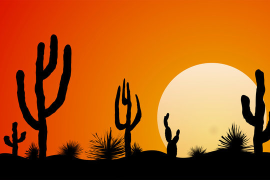 Sunset in the desert landscape. Vector