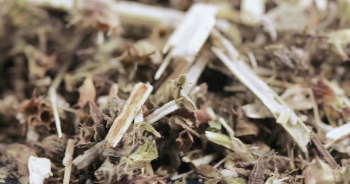 Motherwort grass in bulk