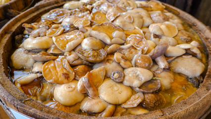 Mushroom time in autumn for harvesting salted mushrooms for the winter