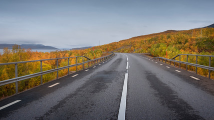  road along Tornetrask lake in Sweden near abisko national park in golden autumn