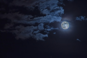 Fototapeta premium Fondo para Halloween. Cielo nocturno con la luna llena entre nubes.