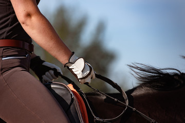 Detail Reithandschuh © Talitha