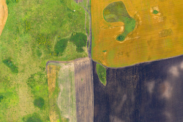 Aerial top view drone photography of a land with sown green fields in countryside