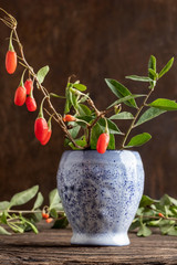 Fresh goji berries in a vase on a table