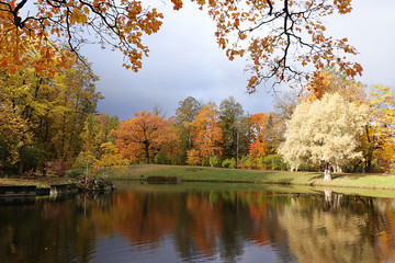 October autumn park in Russia, trees with yellow leaves and reflection in the lake, Alexander Park,...