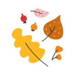 Simple hand drawn illustration of colorful various autumn leaves, outdoors seasonal autumn activity. Vector doodle drawing in modern trendy flat style.