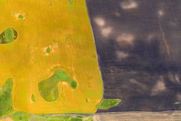 Aerial top view drone photography of a land with sown green fields in countryside