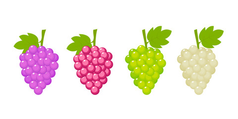 Grapes icon set, red, white and green. Different grape vine types.