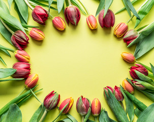 Delicate fresh tulips on yellow background.