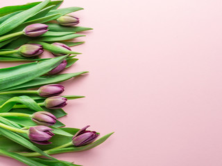 Bouquet pink tulips on lightpink background.