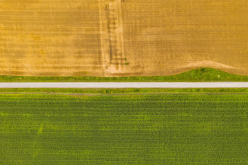 Fototapeta premium Aerial top view drone photography of a land with sown green fields in countryside