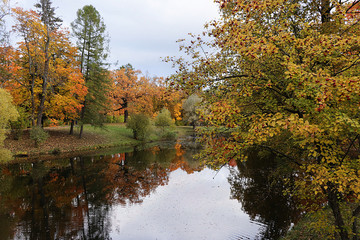 October autumn park in Russia, trees with yellow leaves and reflection in the lake, Alexander Park, Leningrad Region. Beautiful autumn landscape in the park, seasons, travel through beautiful forests