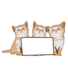 Three kittens with paper board. Vector illustration on white background