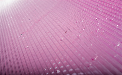polycarbonate sheet surface. surface and texture.