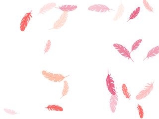 Fluffy twirled feathers on white design.