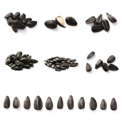 Set of Sunflower seeds isolated on white background