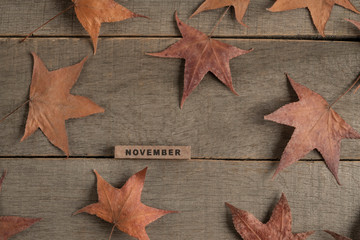 november template with dried autumn leaves on a wooden background