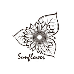 Fototapeta premium illustration with flower of sunflower isolated on white background