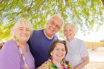 Fototapeta premium Senior Friend Group Outdoors