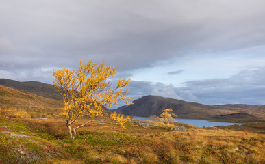 Landscape. An autumn day in Norway.