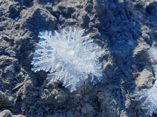 Huge beautiful snowflake. Frosty nature background.