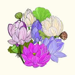 Hand drawing isolated  floral illustration with Delicate lotus flower, leaves, branches and flowers. exotic waterlily. Elements for greeting, wedding card.Sketch, Linart,watercolor imitation