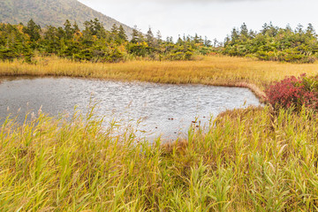 Towada Hachimantai National Park in early autumn