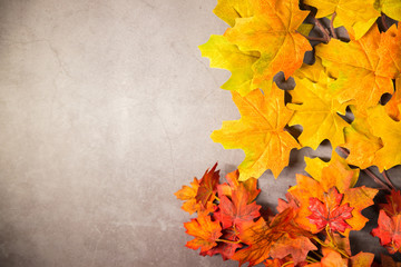 orange and yellow leaves on a light concrete background