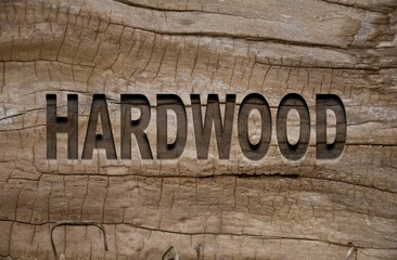 word in wood type