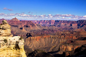 The Vast Grand Canyon