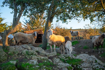 Staying on a farm nearby Pienza, a lovely town in Tuscany