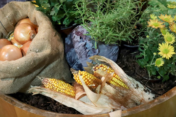Group of various vegetables and fruits as an autumn background