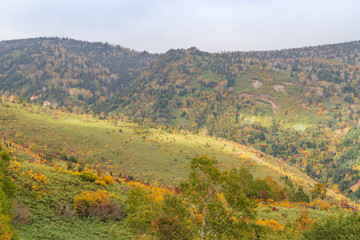 Towada Hachimantai National Park in early autumn