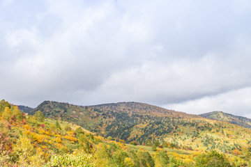 Fototapeta na wymiar Towada Hachimantai National Park in early autumn
