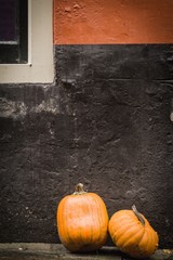 pumpkin In front of house